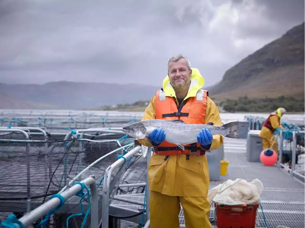 SAP BrandVoice: Sustainable Salmon Farming And The Future Of Digital Procurement