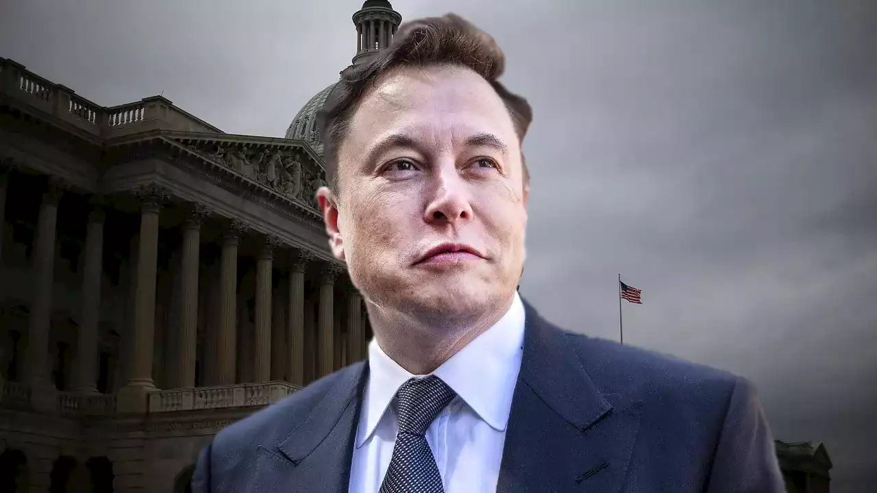 Media watchdogs sound off on Politico editor warning Elon Musk against attacking Democrats: 'Partisan hacks'