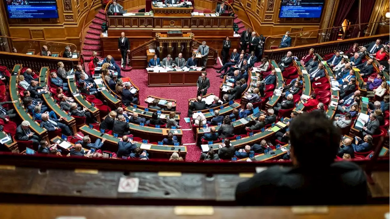 Budget rectificatif : le Sénat vote une rallonge de 2,5 milliards d'euros pour lutter contre l'inflation