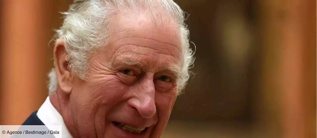 Charles III : son message subliminal au prince Harry sur sa dernière photo officielle - Gala