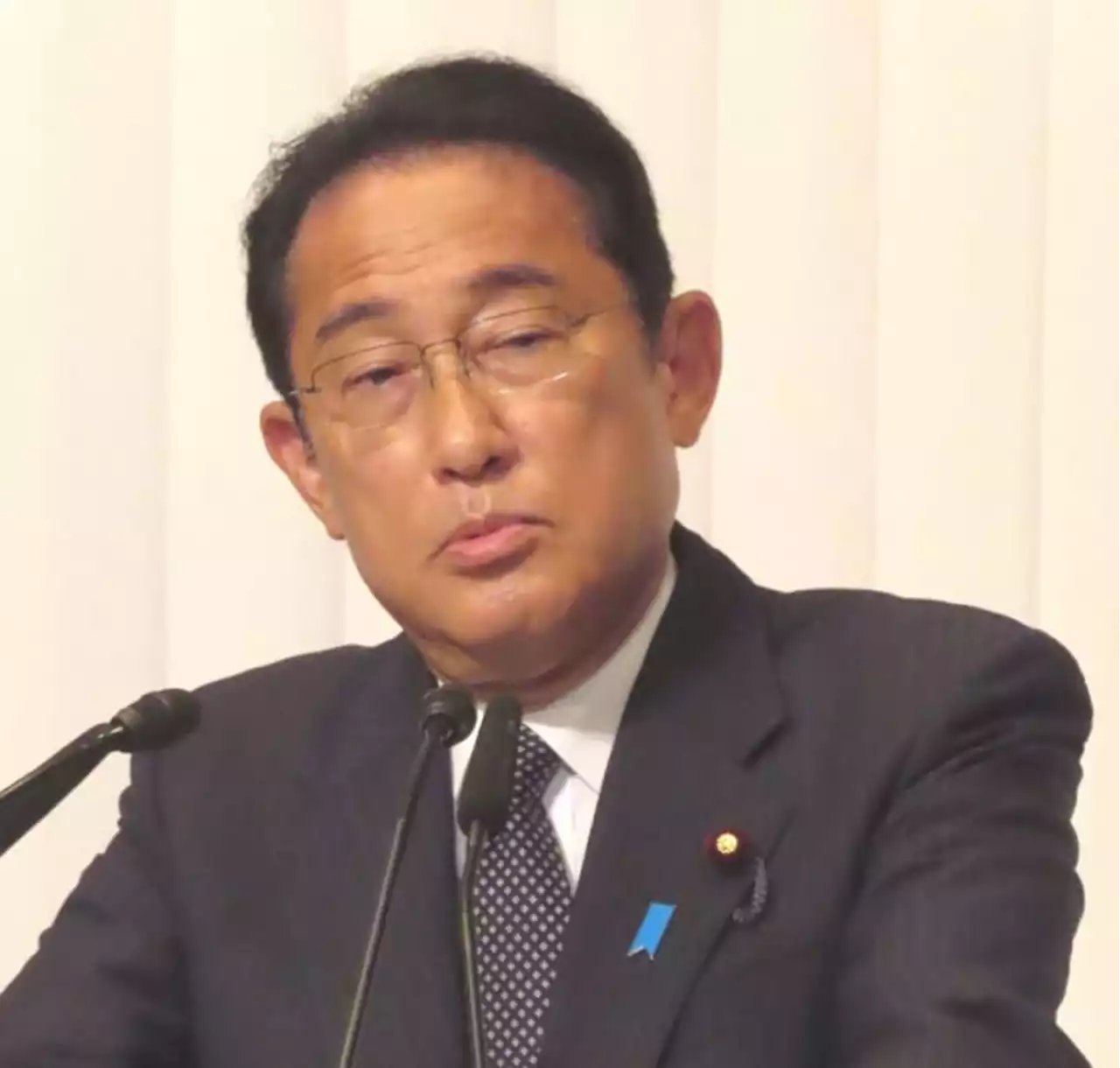 岸田首相はホントに旧統一教会被害者と会ったのか 野党が疑念「誰もわからないと言っている」 - トピックス｜Infoseekニュース