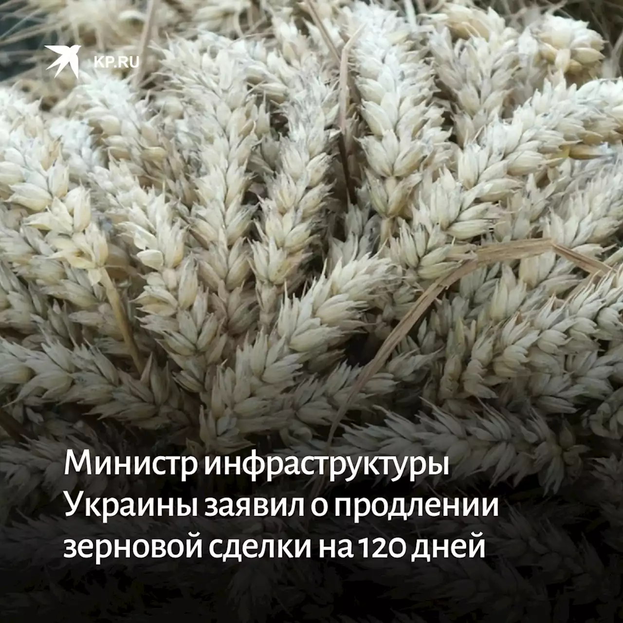 Министр инфраструктуры Украины заявил о продлении зерновой сделки на 120 дней