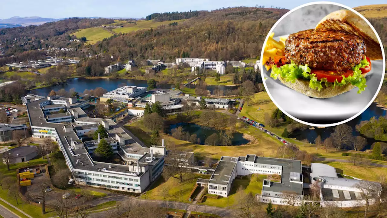 Fury as university takes meat off the menu in favour of first 100% vegan student union