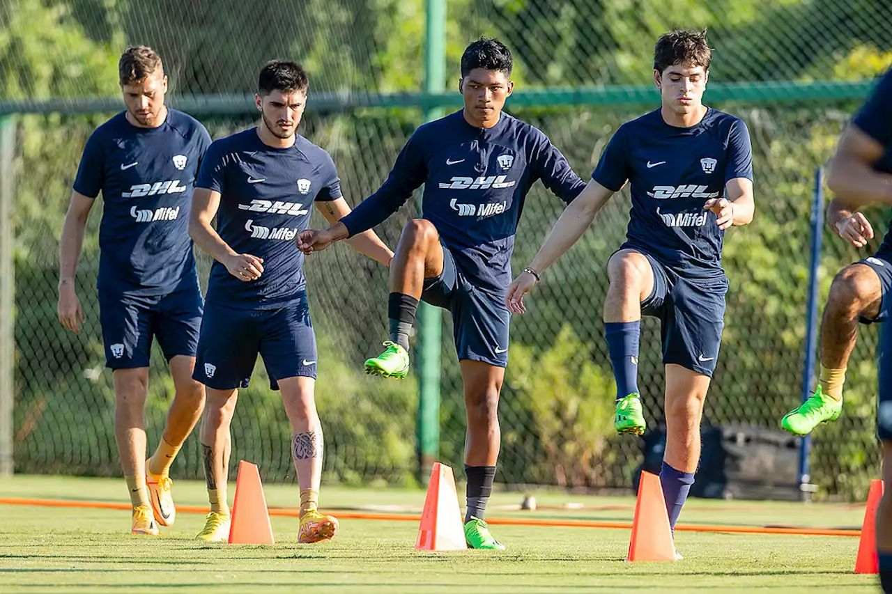 Pumas buscaría amarrar el fichaje de Sebastián Rodríguez