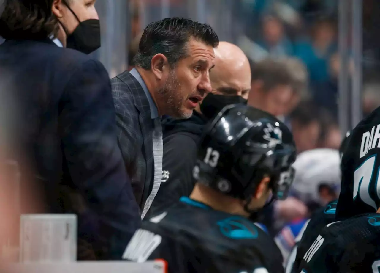 Exclusive: Bob Boughner, now with Red Wings, reflects on difficult end to Sharks tenure