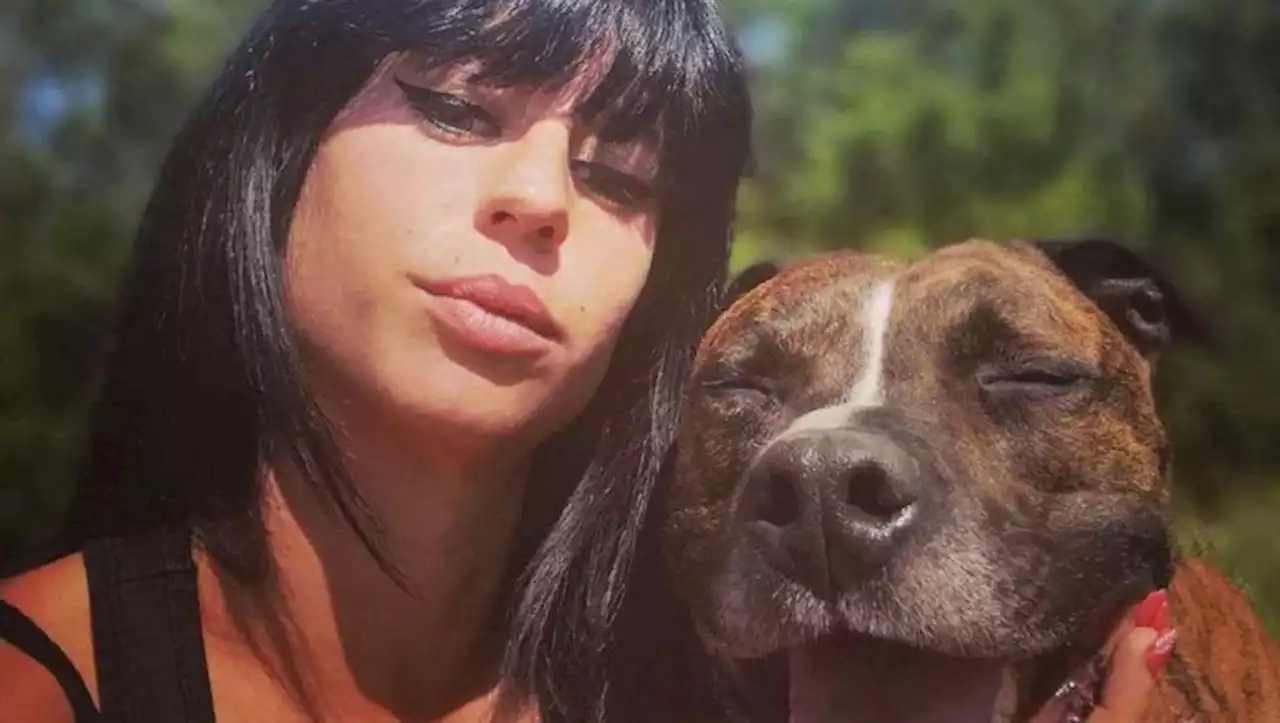 Mort d'Elisa Pilarski : un nouveau rapport d'expertise accable le chien Curtis, un procès à venir