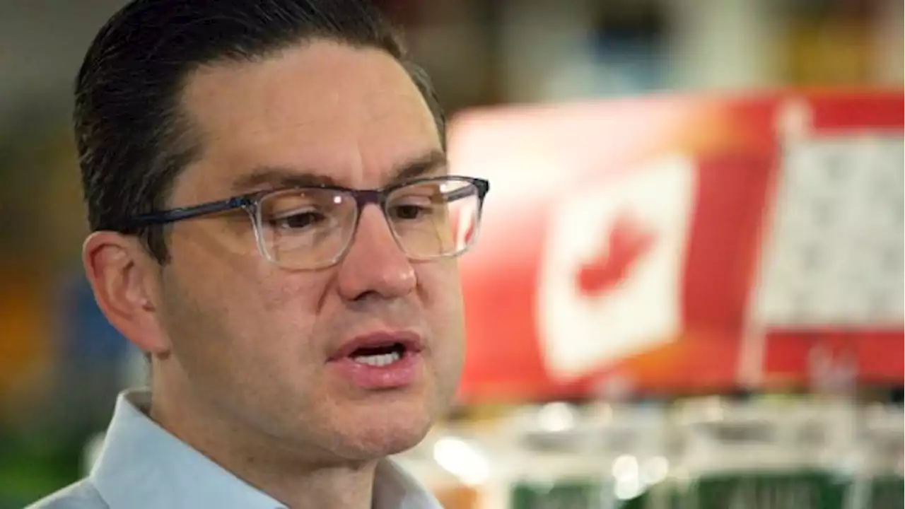 As the crypto chaos continues, Liberals remind voters of Poilievre's praise for bitcoin | CBC News