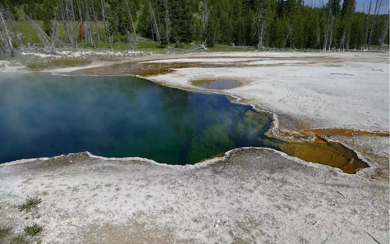 Foot Found Floating in Yellowstone National Park Hot Spring Matched to LA Man