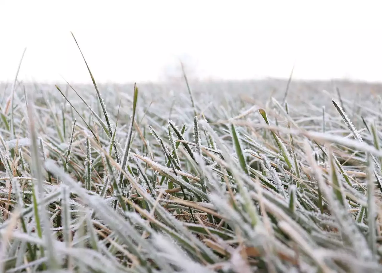 Snow could fall in central Pa. Friday as temperatures drop