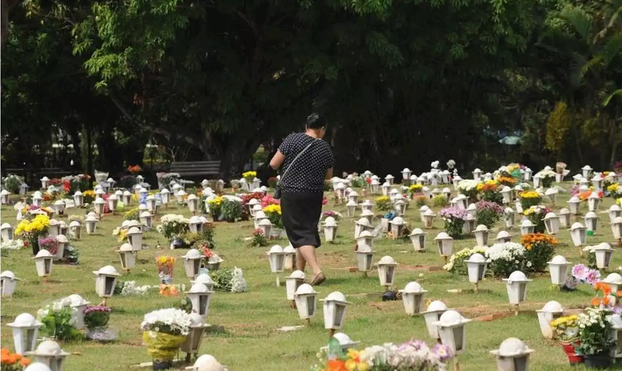 Taxa de mortes no Brasil segue mais alta do que na pré-pandemia, diz pesquisa