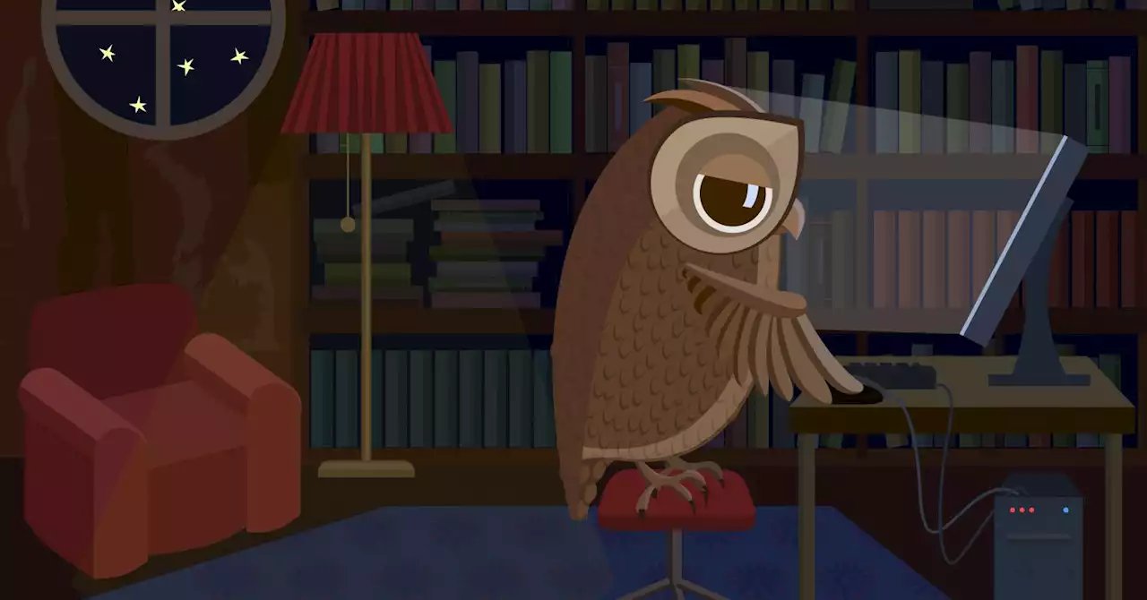 Do Early Risers Have Greater Verbal Skills Than Night Owls?