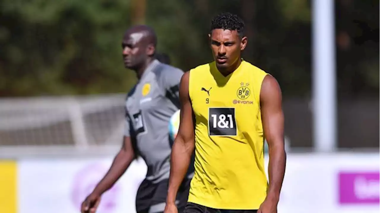 Bundesliga - Borussia Dortmund: Sebastian Haller braucht wegen Hoden-Tumor Operation