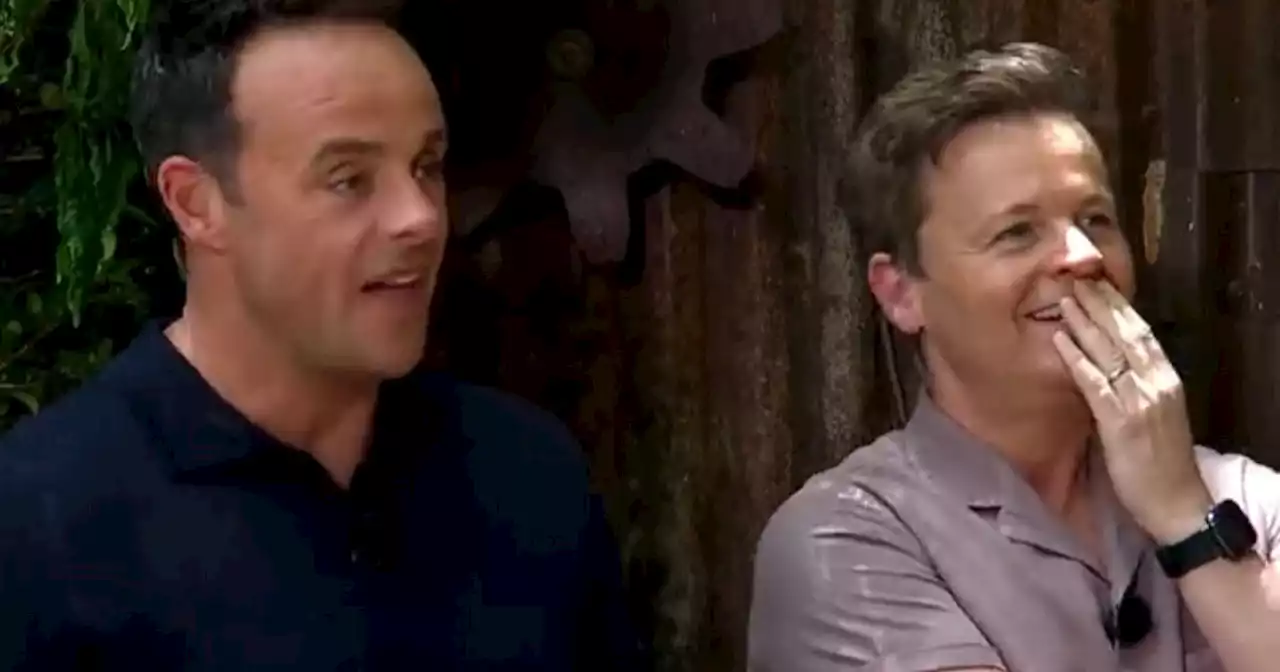 I'm A Celeb viewers unimpressed as one campmate's behaviour is 'out of order'