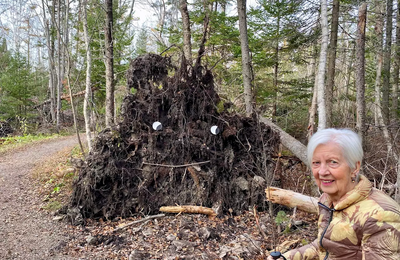 Happy trails at Cape Breton park | SaltWire