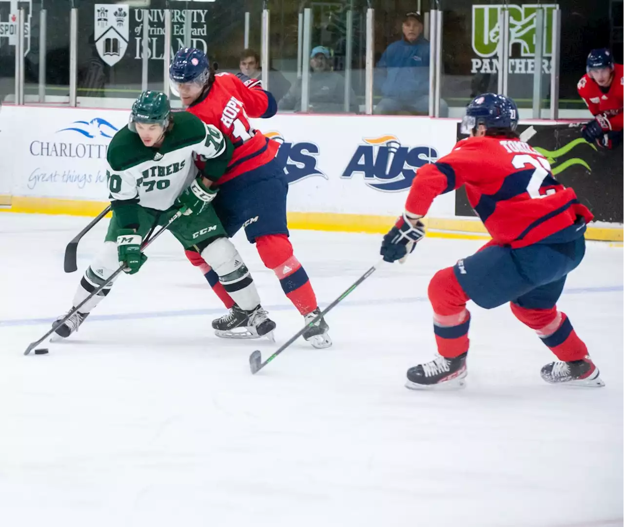 UPEI Panthers move up in AUS men's hockey standings with win vs. Acadia | SaltWire