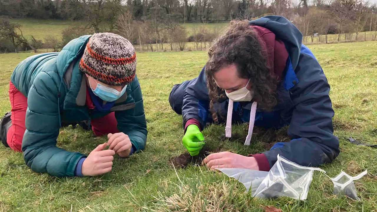 The pristine Winchcombe meteorite suggests that Earth’s water came from asteroids