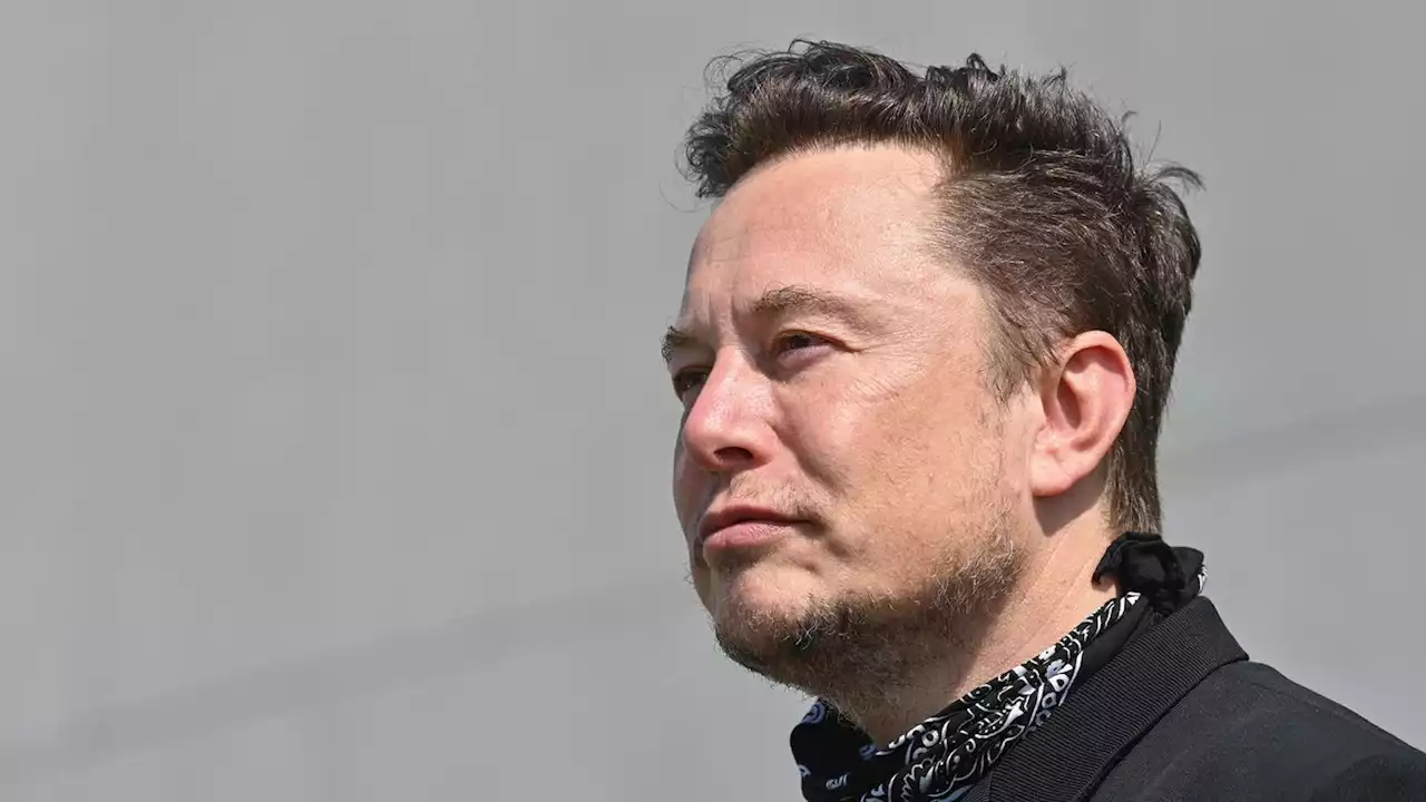 Irrer Auftritt vor Gericht: Elon Musk gibt an, eigentlich nirgendwo Chef sein zu wollen