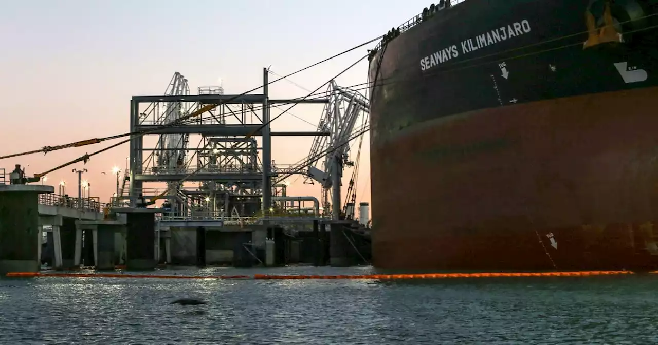 Texas activists arrested in D.C. during protest against offshore oil export facility