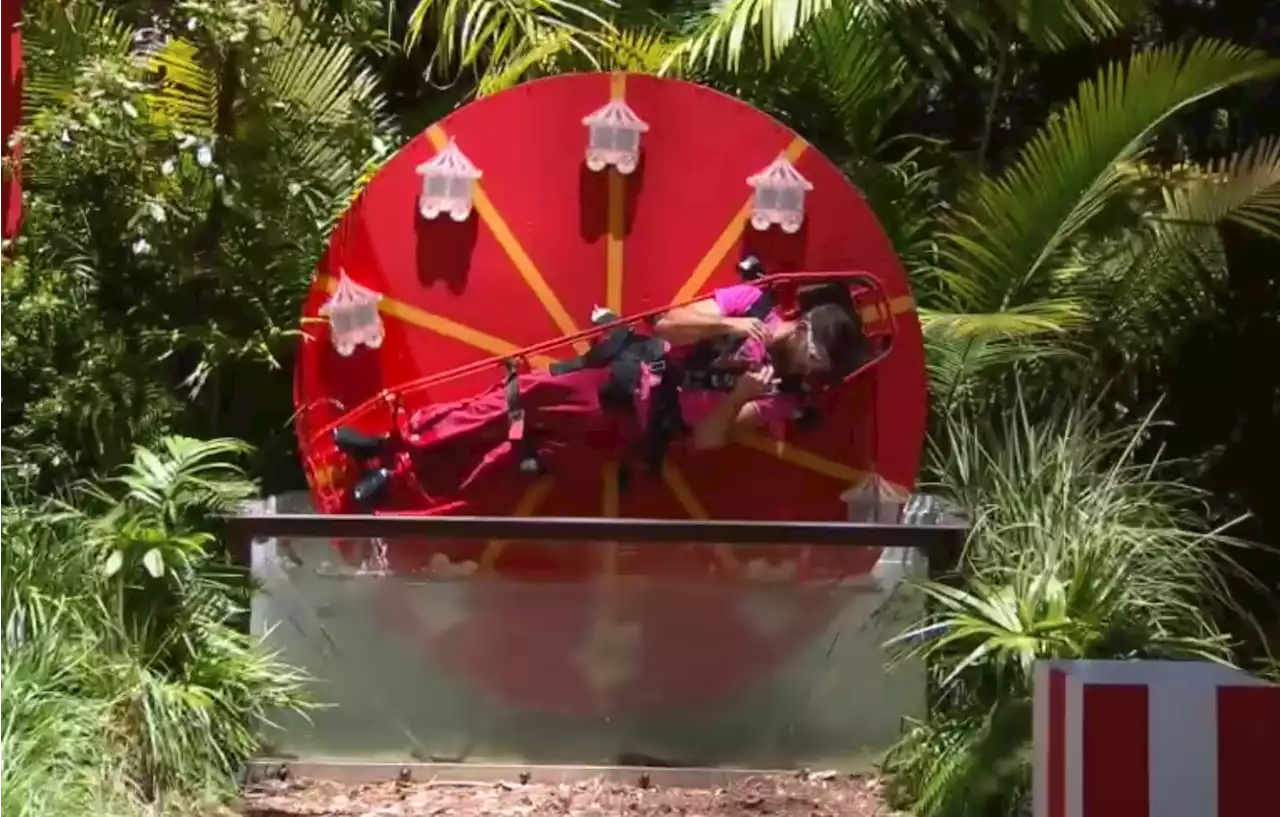 I'm A Celeb first look: Ant and Dec tell Owen off as he, Mike and Jill take on Scareground trial