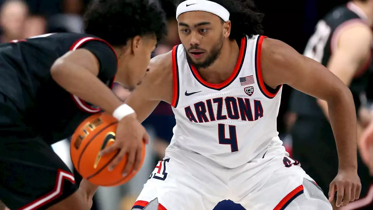 Scouting report: No. 14 Arizona Wildcats vs. Utah Tech Triailblazers