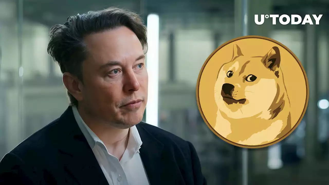 Dogecoin Founder Reveals Why He Does Not Want to Work for Elon Musk