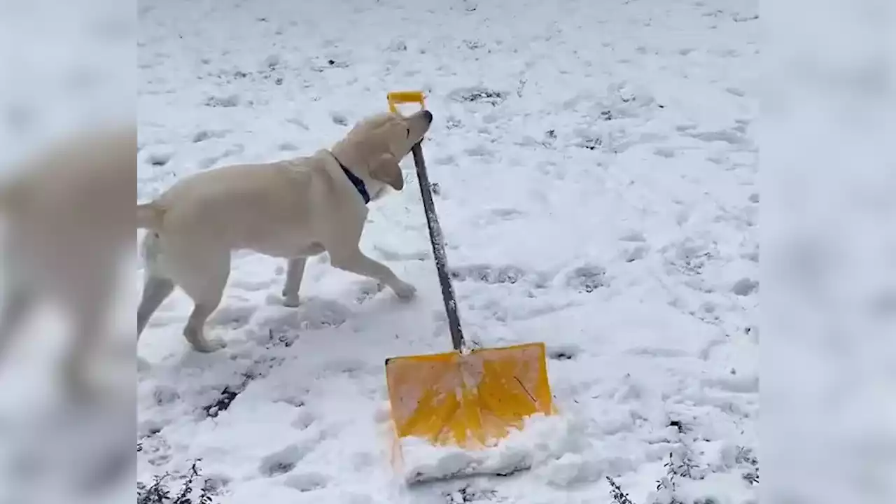 Helpful Hacks When Snow Removal Feels Too Difficult - Videos from The Weather Channel