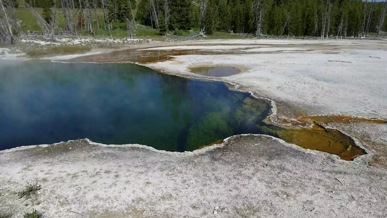 Foot found in Yellowstone hot pool ID'd as that of LA man