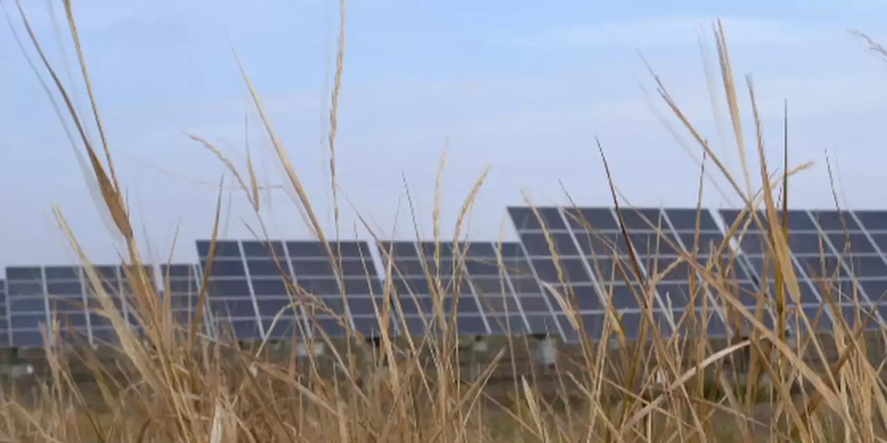 Major solar project in the works for Henry County