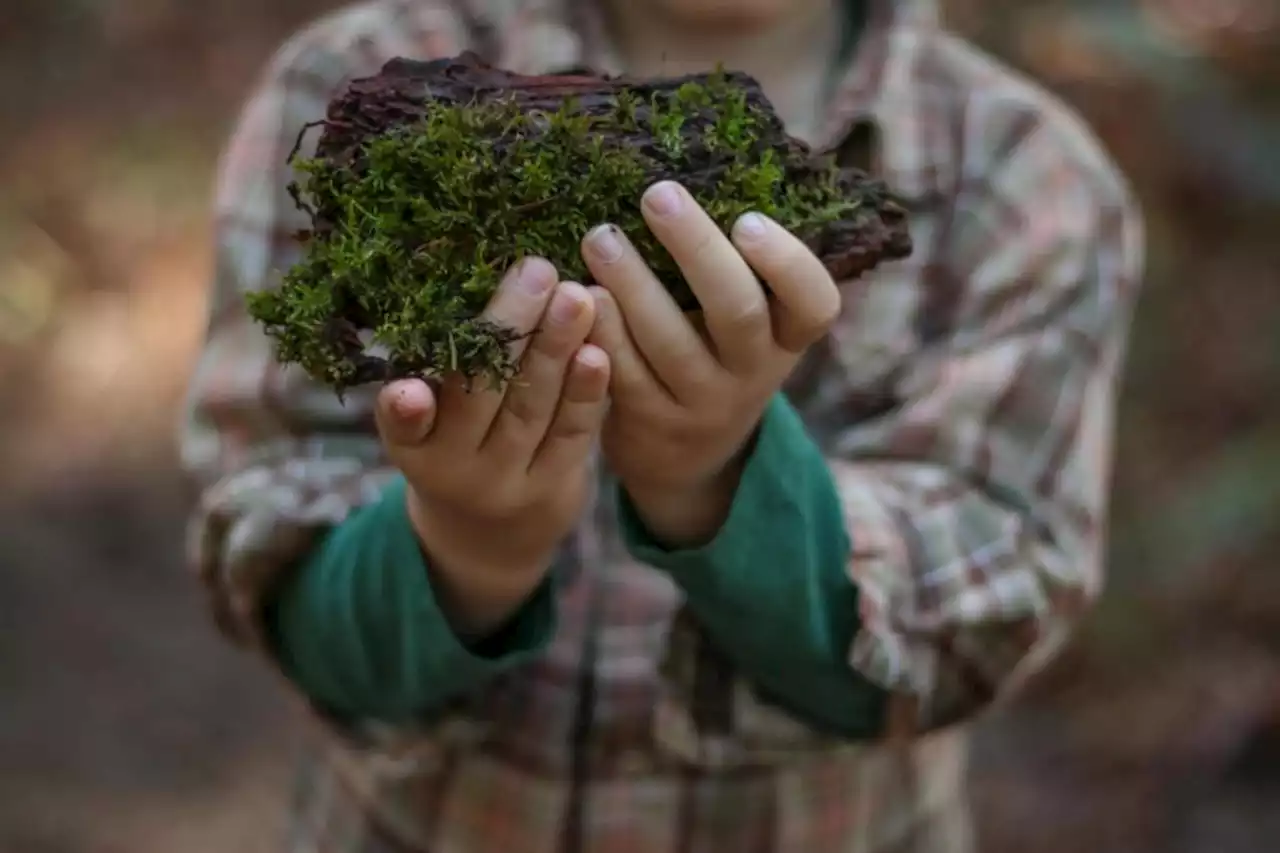 Yorkshire schoolchildren learn about wildlife in the Nature Friendly Schools project