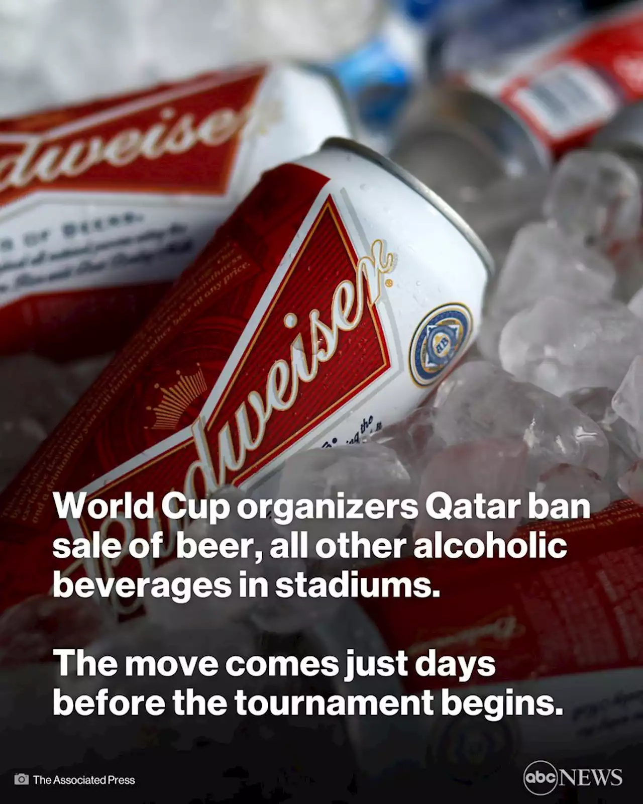 Beer sales banned at World Cup stadiums in Qatar, FIFA says