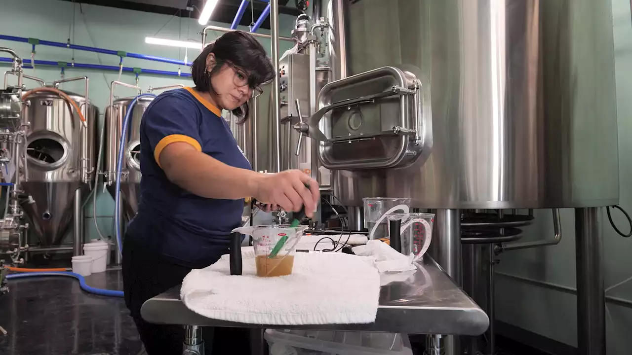 Husband and wife open a tiny brewery with massive flavor