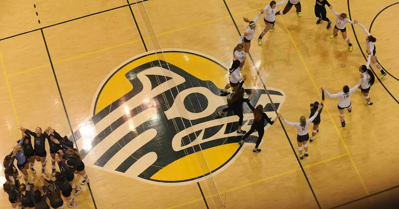 UAA volleyball upset in opening round of NCAA Tournament