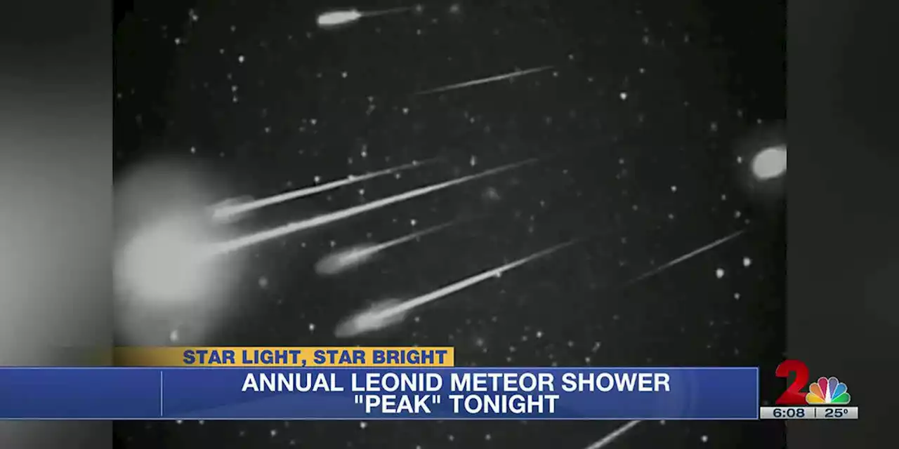 Look up: Leonid meteor shower peaks early Friday morning