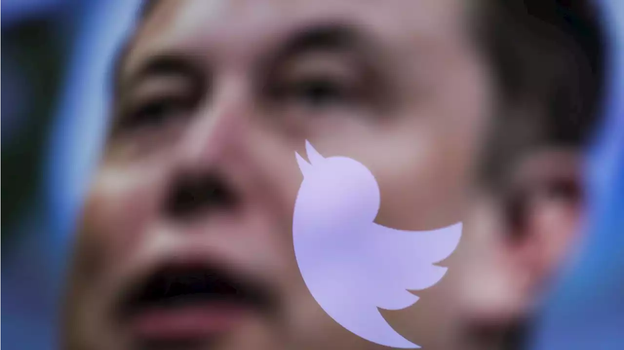 Elon Musk: Twitter to deemphasize 'negative' tweets