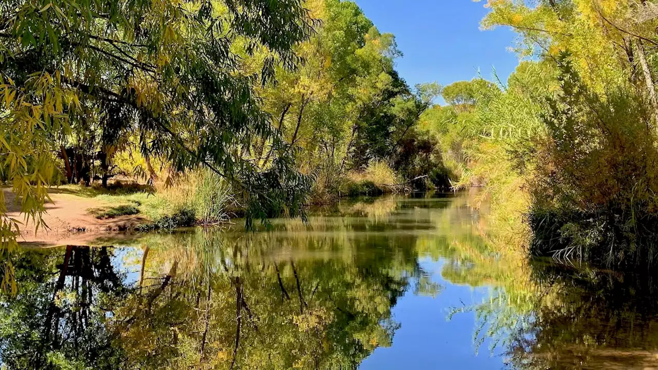 ASU honors 'Friends of the Verde River' for efforts to protect a fragile Arizona waterway