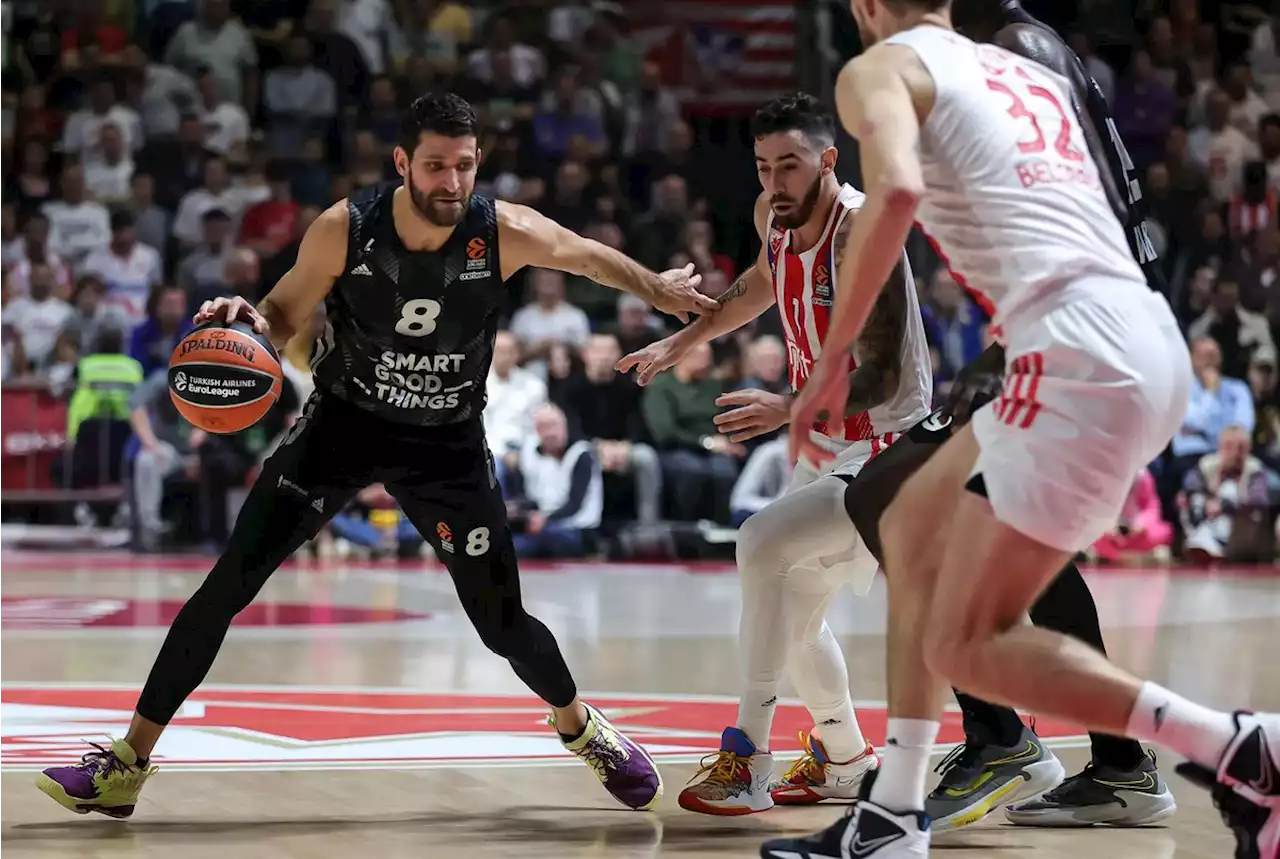 L’ASVEL s’incline sur le fil face à l’Etoile Rouge de Belgrade - BeBasket