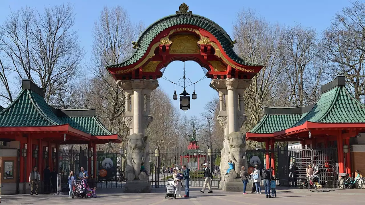 Berliner Zoo wegen Vogelgrippe geschlossen