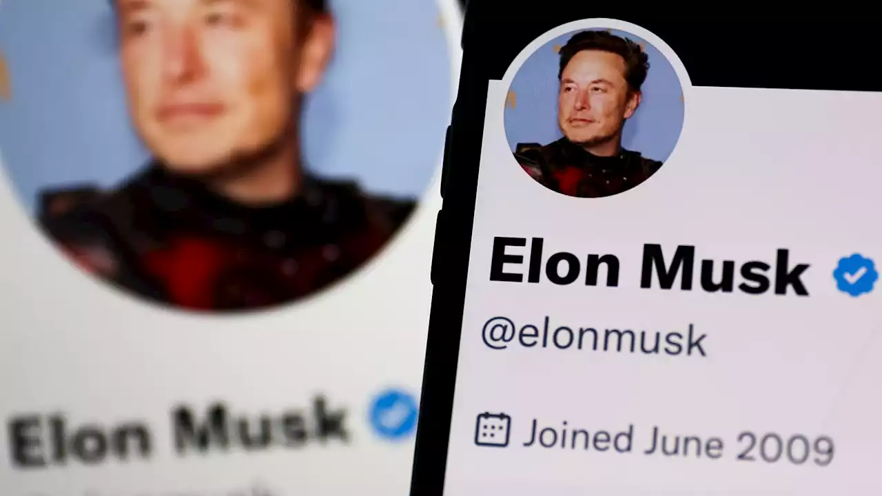 Elon Musk macht Twitter-Büros dicht – Mitarbeiter kündigen nach Ultimatum