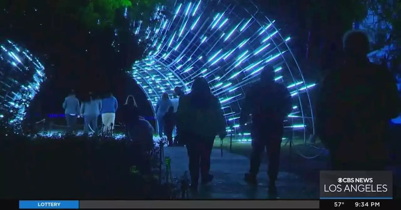 LA Arboretum Lightscape shines