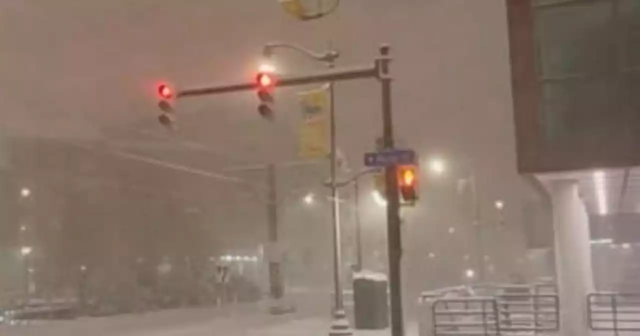 'Thunder snow' hits Buffalo area at start of monster storm