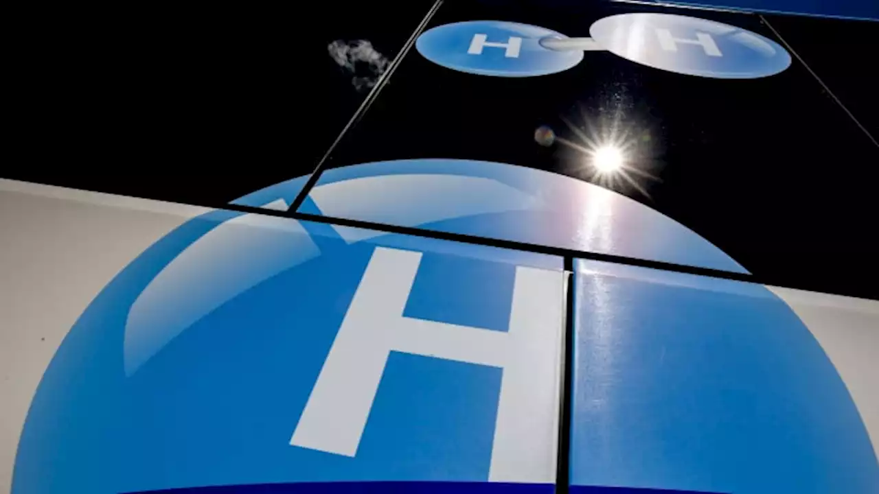 'Indiscriminate use of hydrogen' could slow the energy transition, report says