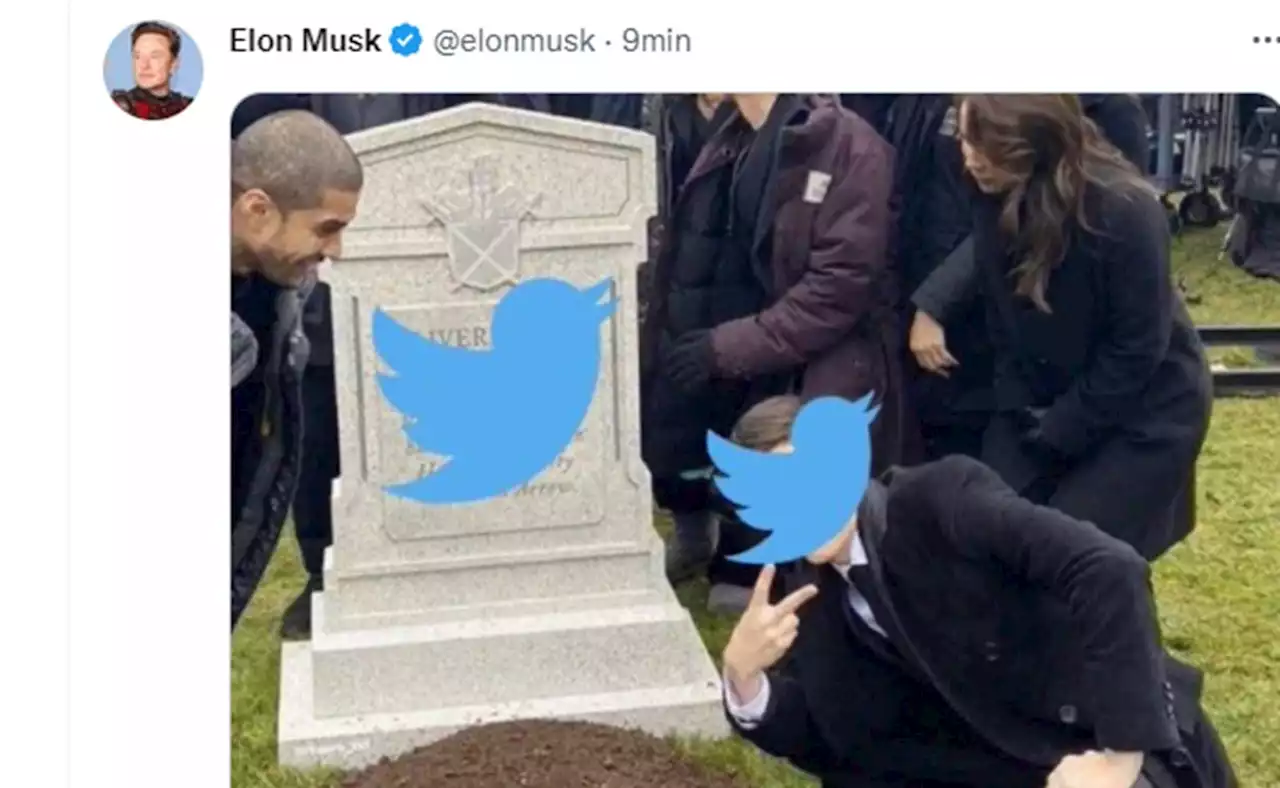 Usuarios hacen tendencia en Twitter... muerte de Twitter; Elon Musk se burla