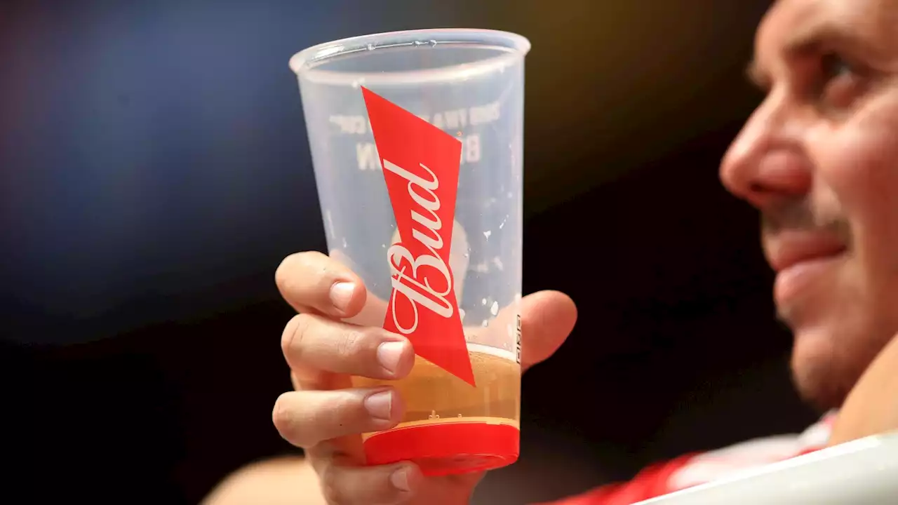 'Well, this is awkward' – Budweiser reacts as FIFA ban beer at World Cup stadiums