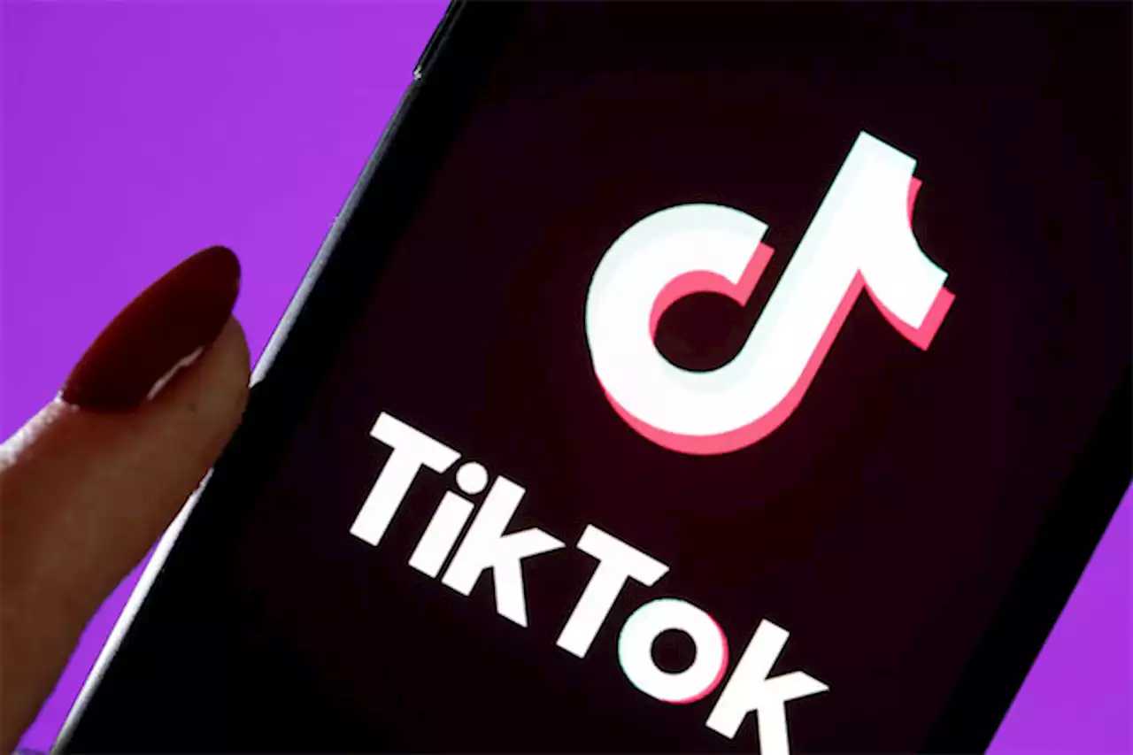 TikTokに投稿される児童ポルノの監視を担う企業が撤退を宣言 | Forbes JAPAN（フォーブス ジャパン）