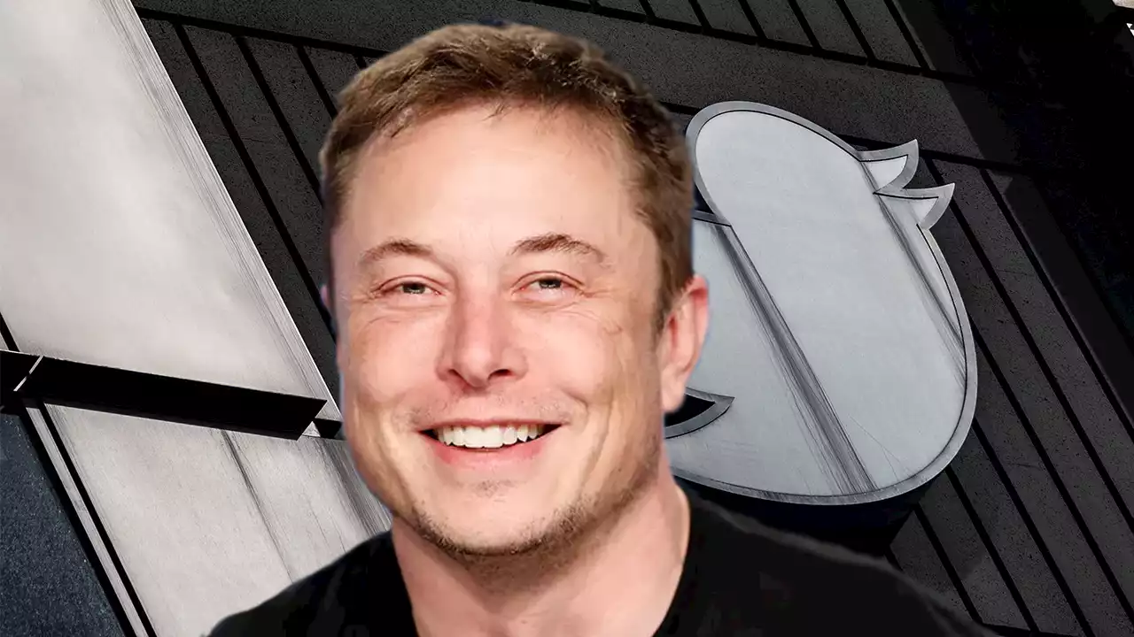 Musk trolls AOC, liberal journalists who panicked over end of Twitter: 'The best people are staying'