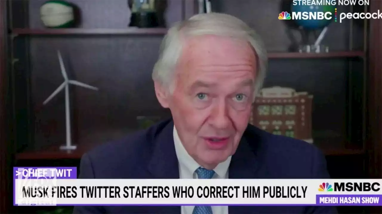 Sen. Markey warns Elon Musk will 'pay a price' if new Twitter policies aren’t fixed