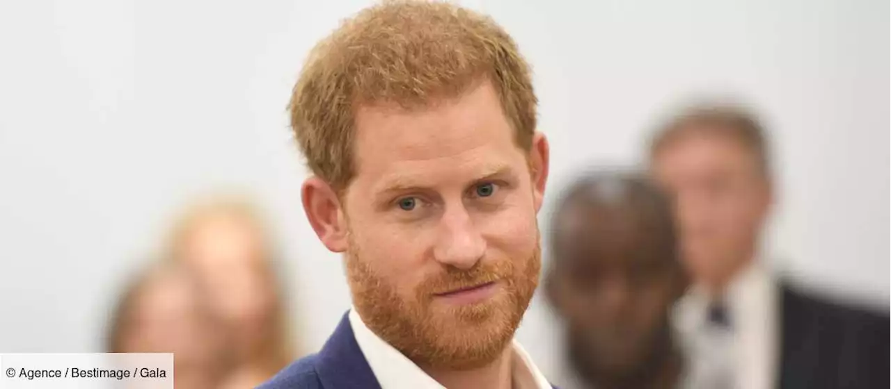 Le prince Harry : ce que pensent ses amis de son exil aux États-Unis - Gala