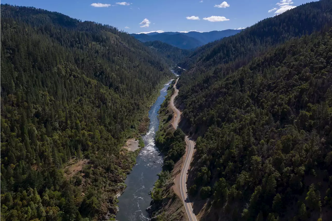 4 California Dams Approved To Be Demolished, Letting Salmon Swim Free