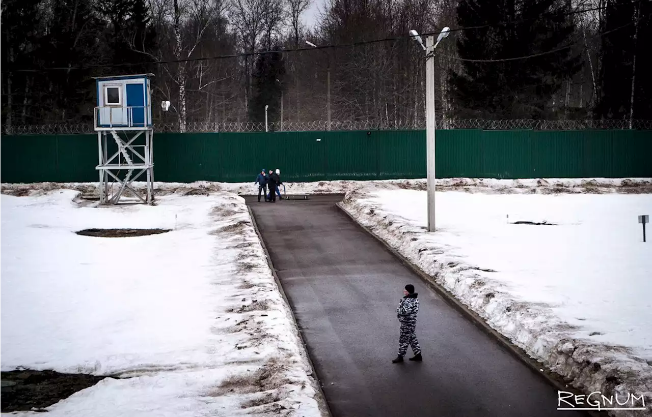 Финляндия начнет возводить забор на границе с Россией в Иматре