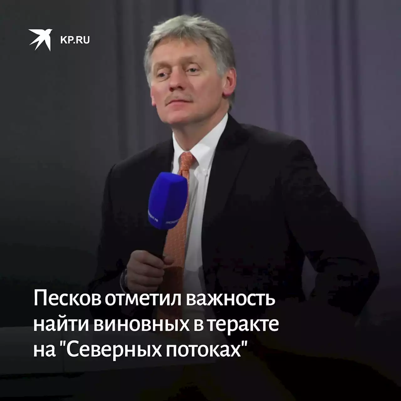 Песков отметил важность найти виновных в теракте на 'Северных потоках'